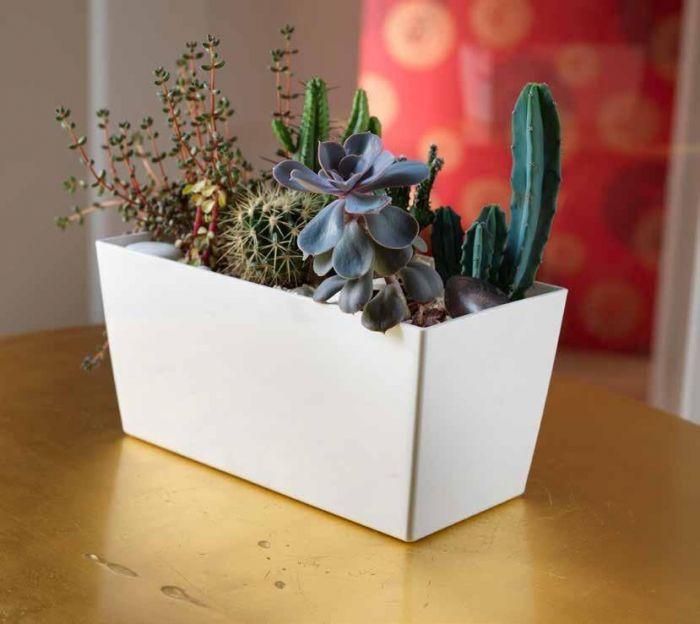 Decorspace Blumentopf Coimbra 25 Cm – Transparenter Kunststofftopf Für Draußen & Garten
